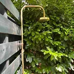 Comfortabel Boshuisje In De Oisterwijkse Bossen Oisterwijk