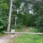 Comfortabel Boshuisje In De Oisterwijkse Bossen Chalet Oisterwijk