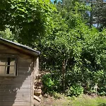 Comfortabel Boshuisje In De Oisterwijkse Bossen *