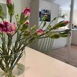 Chalet Comfortabel Boshuisje In De Oisterwijkse Bossen Oisterwijk