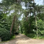 Comfortabel Boshuisje In De Oisterwijkse Bossen * Oisterwijk