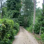 Comfortabel Boshuisje In De Oisterwijkse Bossen * Oisterwijk