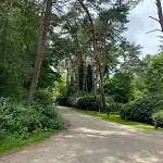Comfortabel Boshuisje In De Oisterwijkse Bossen