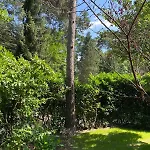 Chalet Comfortabel Boshuisje In De Oisterwijkse Bossen Oisterwijk