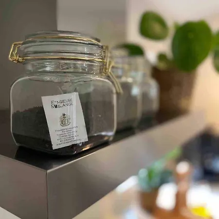 Comfortabel Boshuisje In De Oisterwijkse Bossen *