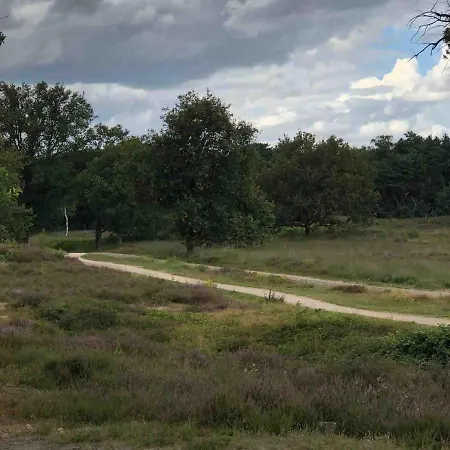 Comfortabel Boshuisje In De Oisterwijkse Bossen Oisterwijk