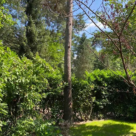 Comfortabel Boshuisje In De Oisterwijkse Bossen Horská chata