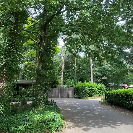 Comfortabel Boshuisje In De Oisterwijkse Bossen *