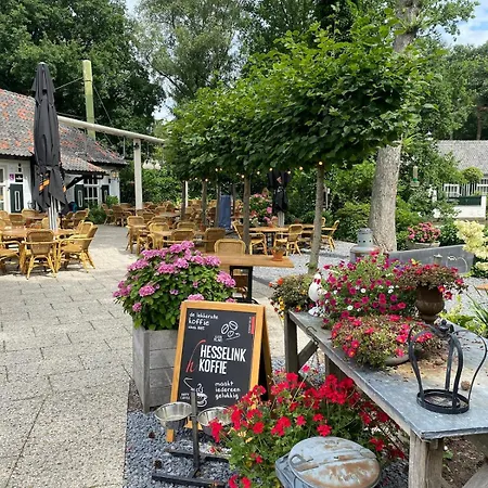 Comfortabel Boshuisje In De Oisterwijkse Bossen *