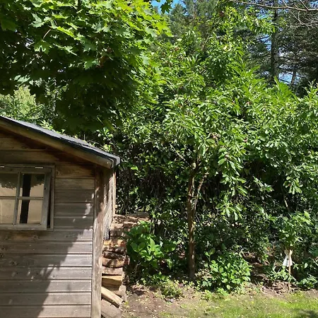 Comfortabel Boshuisje In De Oisterwijkse Bossen *