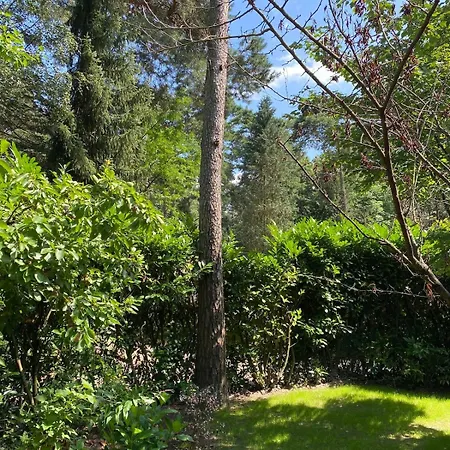 Horská chata Comfortabel Boshuisje In De Oisterwijkse Bossen Oisterwijk