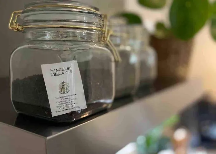 Comfortabel Boshuisje In De Oisterwijkse Bossen *