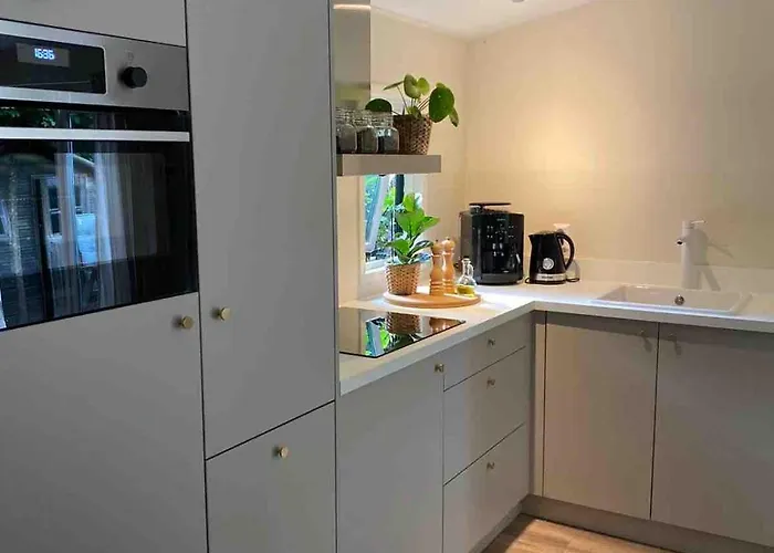 Comfortabel Boshuisje In De Oisterwijkse Bossen *