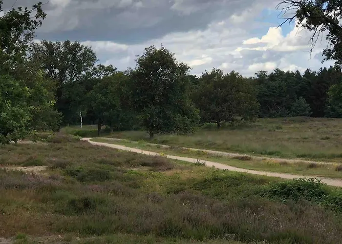 Comfortabel Boshuisje In De Oisterwijkse Bossen Oisterwijk