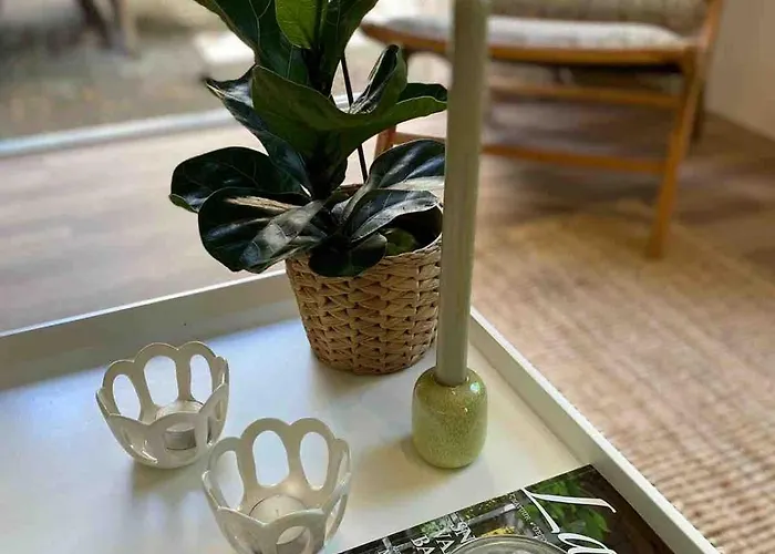 Comfortabel Boshuisje In De Oisterwijkse Bossen Chalet Oisterwijk