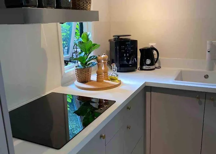 Comfortabel Boshuisje In De Oisterwijkse Bossen *