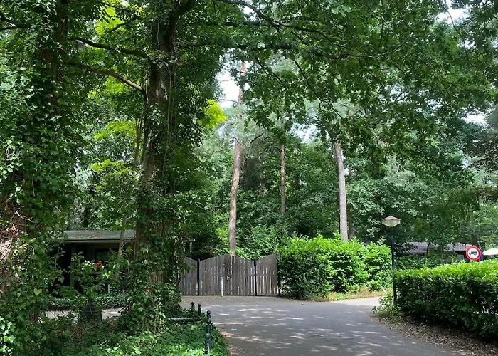 Comfortabel Boshuisje In De Oisterwijkse Bossen *