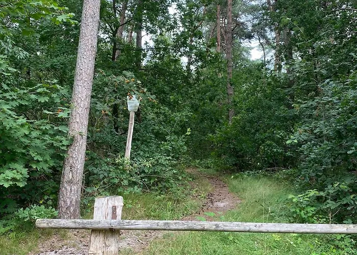 Comfortabel Boshuisje In De Oisterwijkse Bossen Chalet Oisterwijk