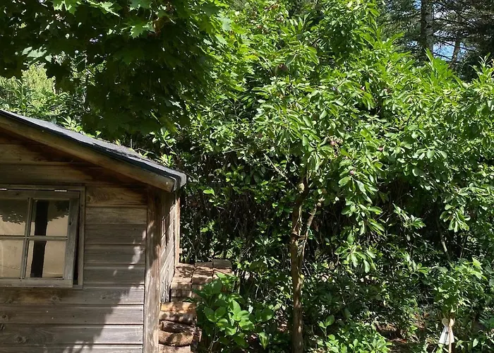 Comfortabel Boshuisje In De Oisterwijkse Bossen *