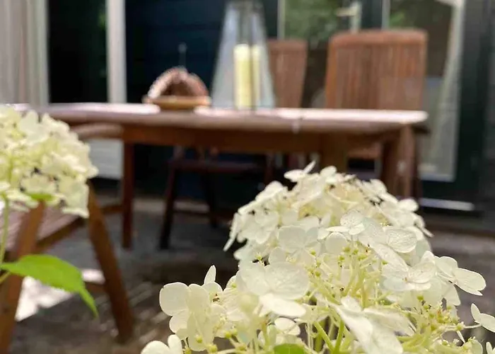 Comfortabel Boshuisje In De Oisterwijkse Bossen Chalet *