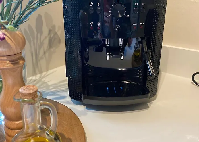 Chalet Comfortabel Boshuisje In De Oisterwijkse Bossen Oisterwijk