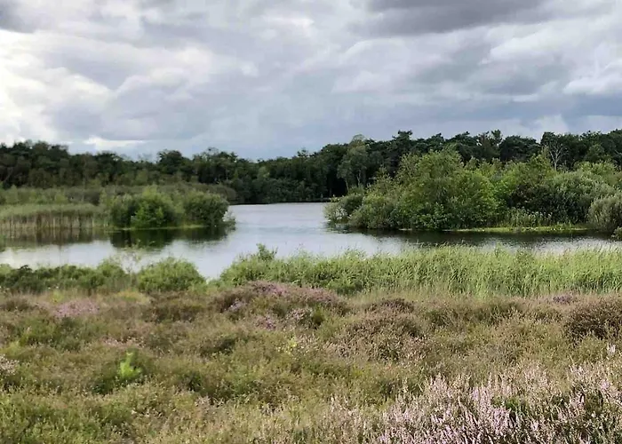 Chalet Comfortabel Boshuisje In De Oisterwijkse Bossen Oisterwijk