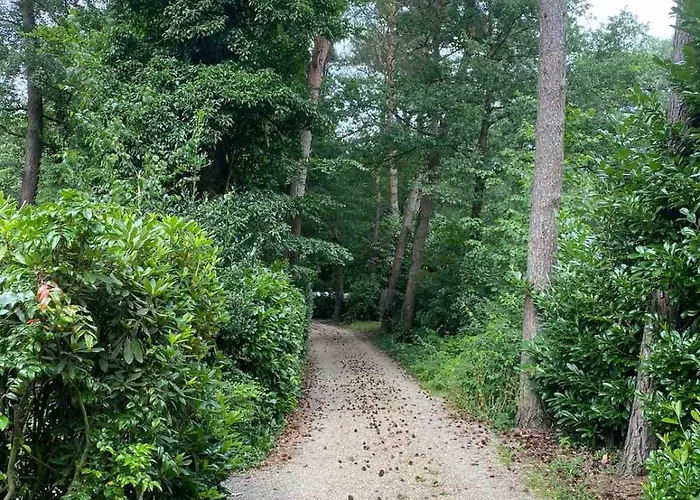 Comfortabel Boshuisje In De Oisterwijkse Bossen * Oisterwijk