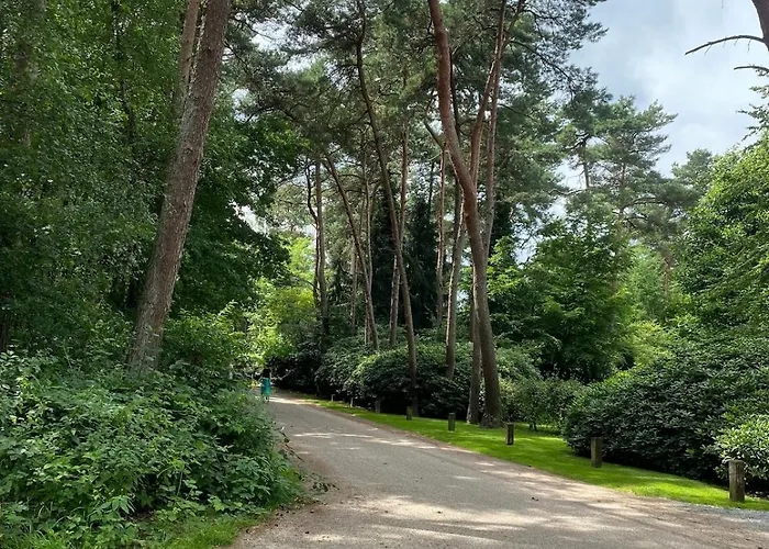 Comfortabel Boshuisje In De Oisterwijkse Bossen