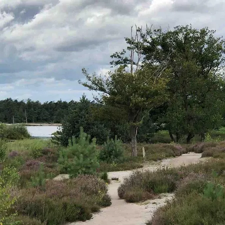 Comfortabel Boshuisje In De Oisterwijkse Bossen Domek alpejski Oisterwijk