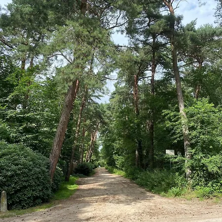 Comfortabel Boshuisje In De Oisterwijkse Bossen * Oisterwijk