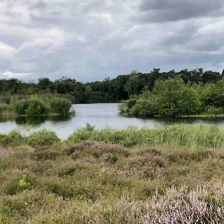 Domek alpejski Comfortabel Boshuisje In De Oisterwijkse Bossen Oisterwijk