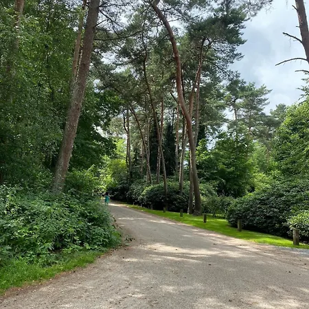 Comfortabel Boshuisje In De Oisterwijkse Bossen